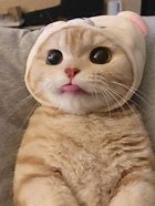 据了解，40多岁的被告人冷某在上海做淘宝生意，有个淘宝店铺。